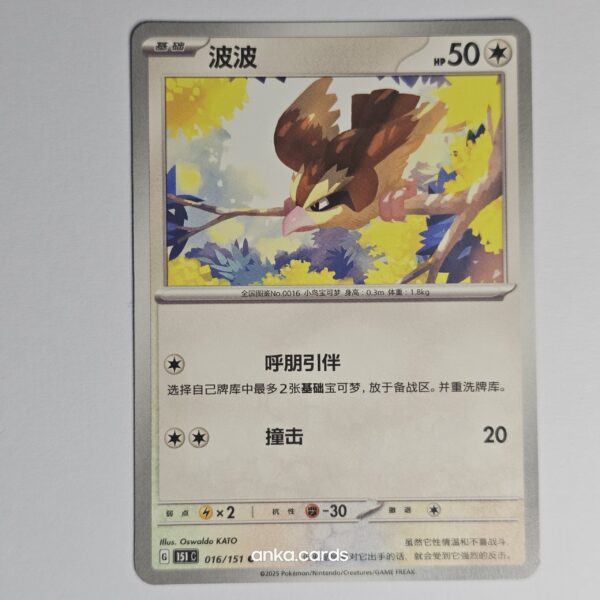 151C-016-Chi Pidgey (151C 016)