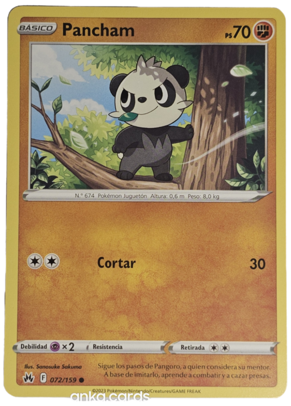Pancham (CRZ 072)