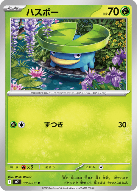 Lotad Korean (M2 005)