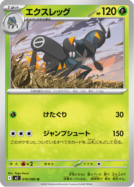 Lokix Korean (M2 010)