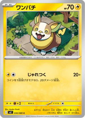 Yamper Korean (M2 030)
