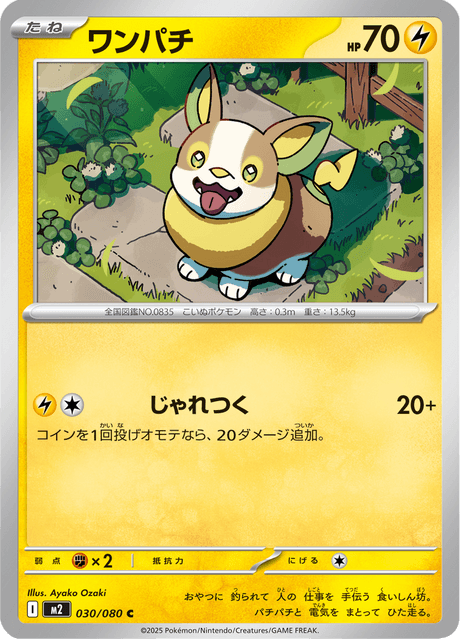 Yamper Korean (M2 030)