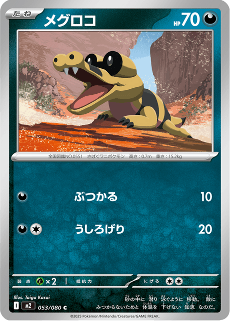 Sandile  Korean (M2 053)
