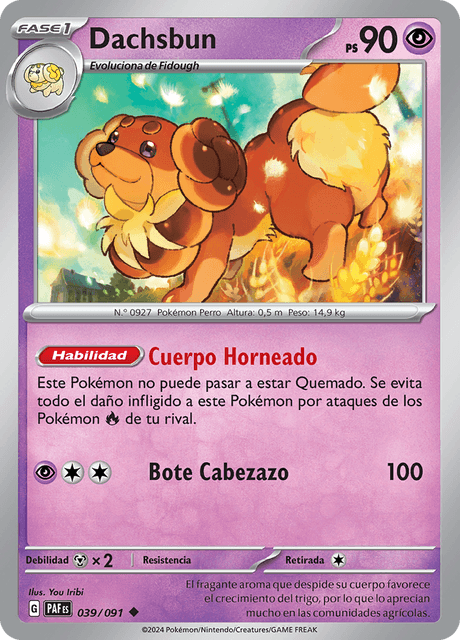 Dachsbun (PAF 039)