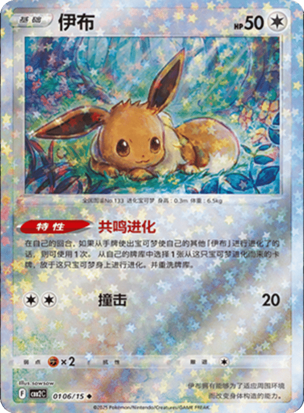 EEVEE STARS PATTERN 0106