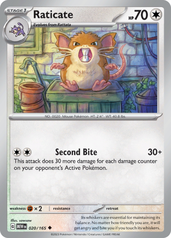 RATICATE Reverse Holo 020