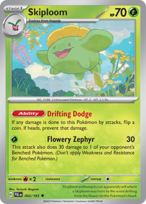 PALENG002 SKIPLOOM 002