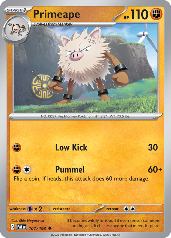 PRIMEAPE 107