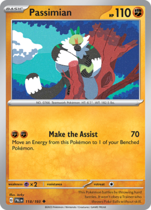 PASSIMIAN 118