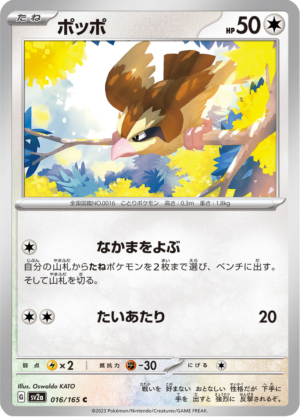 PIDGEY 016