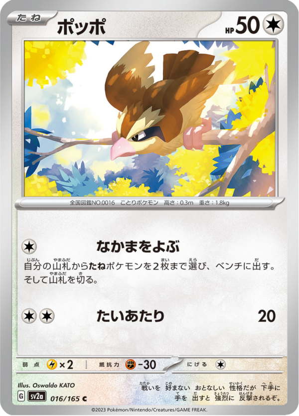 PIDGEY 016