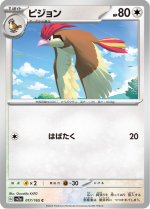 PIDGEOTTO 017