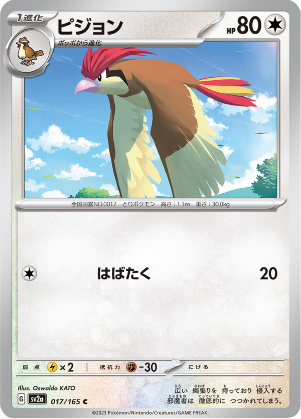 PIDGEOTTO 017