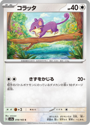 RATTATA 019