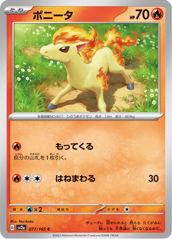 PONYTA 077