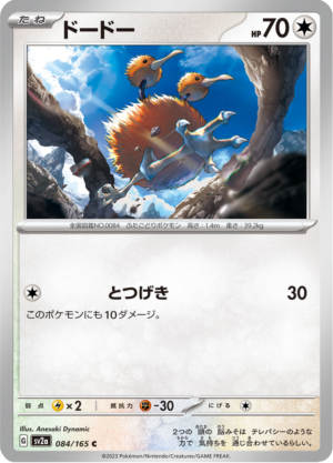 DODUO 084
