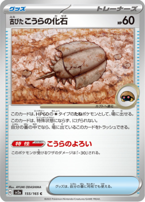 OLD DOME FOSSIL 155