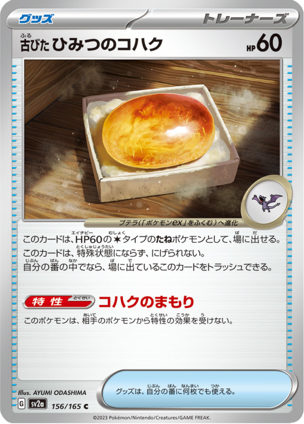 OLD AMBER FOSSIL 156