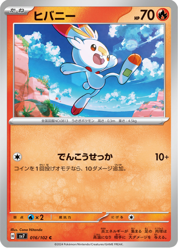 SCORBUNNY 16