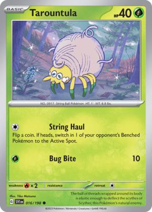 TAROUNTULA 016