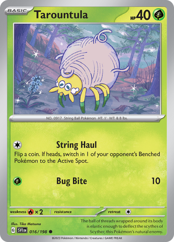 TAROUNTULA 016
